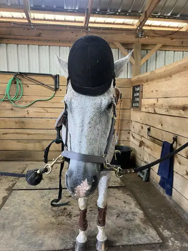 Beginner Camp at Horses and Hope, June 22 to 24, photo 79