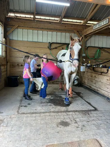 Beginner Camp at Horses and Hope, June 22 to 24, photo 80