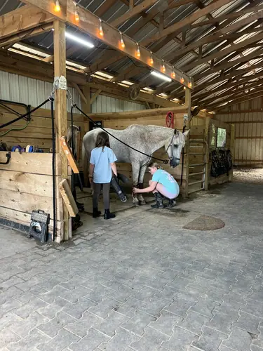 Beginner Camp at Horses and Hope, June 22 to 24, photo 81