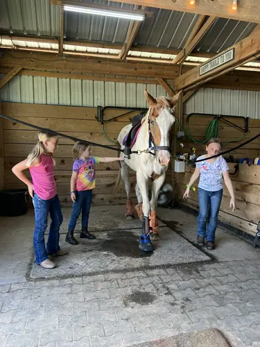 Beginner Camp at Horses and Hope, June 22 to 24, photo 82
