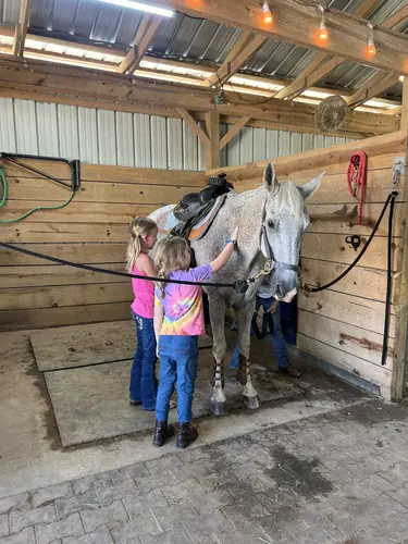 Beginner Camp at Horses and Hope, June 22 to 24, photo 85