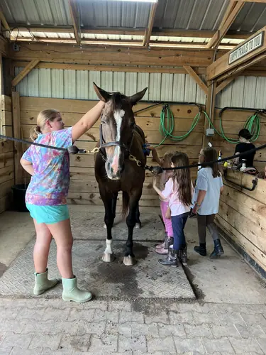 Beginner Camp at Horses and Hope, June 22 to 24, photo 87