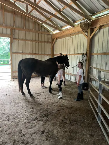 Beginner Camp at Horses and Hope, June 22 to 24, photo 91