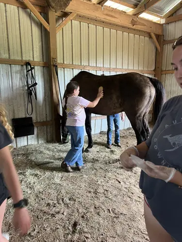 Beginner Camp at Horses and Hope, June 22 to 24, photo 92