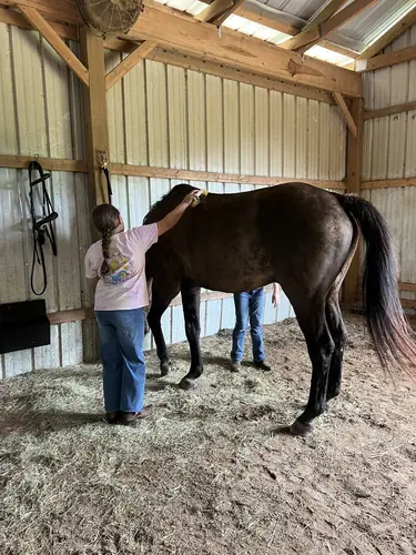 Beginner Camp at Horses and Hope, June 22 to 24, photo 93