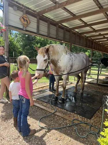 Beginner Camp at Horses and Hope, June 22 to 24, photo 94