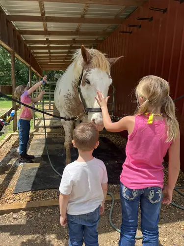 Beginner Camp at Horses and Hope, June 22 to 24, photo 95