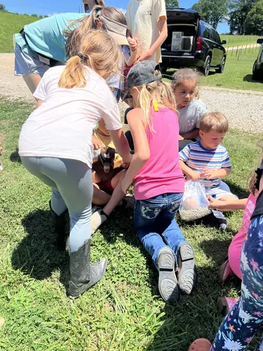 Beginner Camp at Horses and Hope, June 22 to 24, photo 101