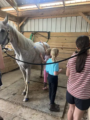 Beginner Camp at Horses and Hope, June 22 to 24, photo 103