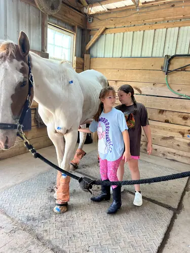 Beginner Camp at Horses and Hope, June 22 to 24, photo 104