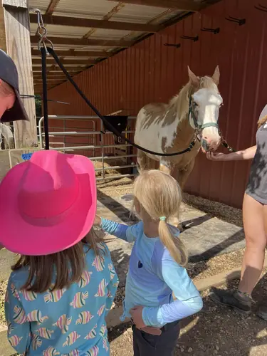 Beginner Camp at Horses and Hope, June 22 to 24, photo 106