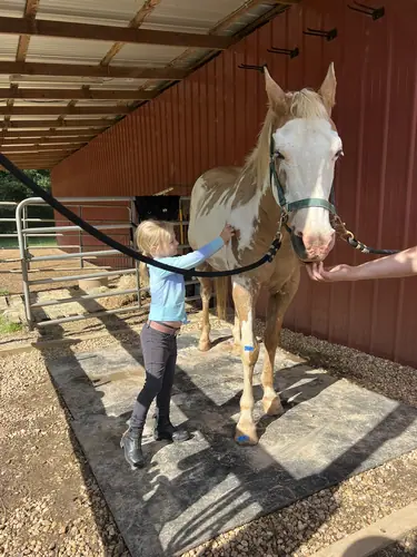 Beginner Camp at Horses and Hope, June 22 to 24, photo 107