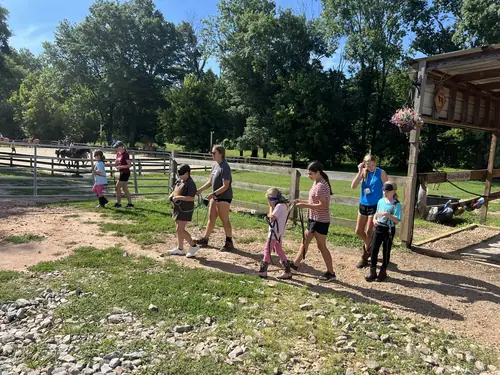 Beginner Camp at Horses and Hope, June 22 to 24, photo 111