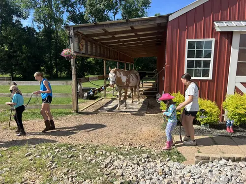 Beginner Camp at Horses and Hope, June 22 to 24, photo 112