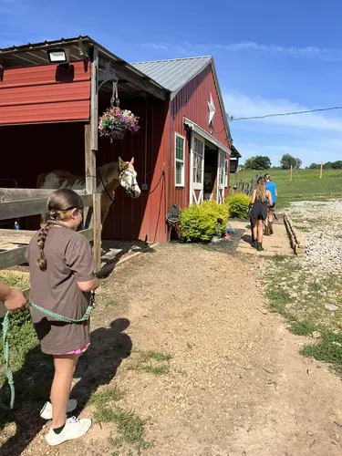 Beginner Camp at Horses and Hope, June 22 to 24, photo 115
