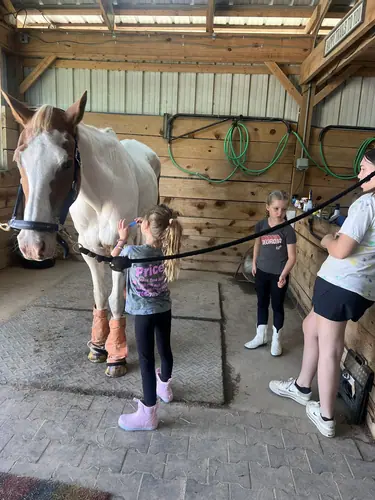 Beginner Camp at Horses and Hope, June 22 to 24, photo 121
