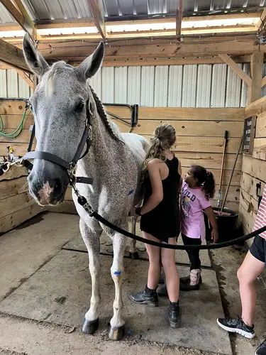 Beginner Camp at Horses and Hope, June 22 to 24, photo 122