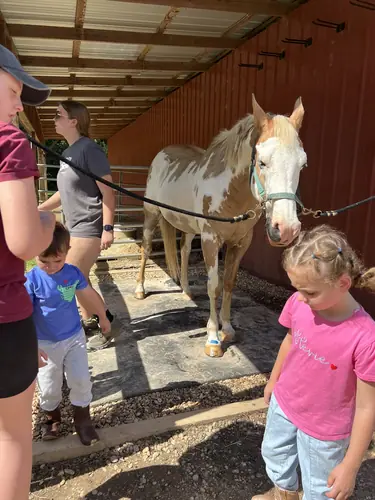 Beginner Camp at Horses and Hope, June 22 to 24, photo 123