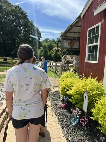 Beginner Camp at Horses and Hope, June 22 to 24, photo 126
