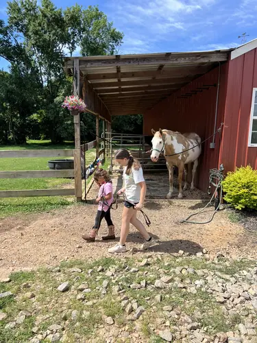 Beginner Camp at Horses and Hope, June 22 to 24, photo 129