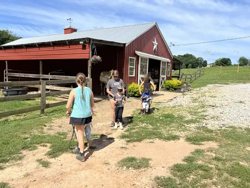 Beginner Camp at Horses and Hope, June 22 to 24, photo 132