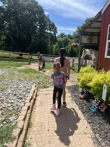 Beginner Camp at Horses and Hope, June 22 to 24, photo 139
