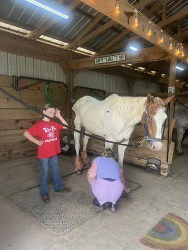 Beginner Camp at Horses and Hope, June 22 to 24, photo 146