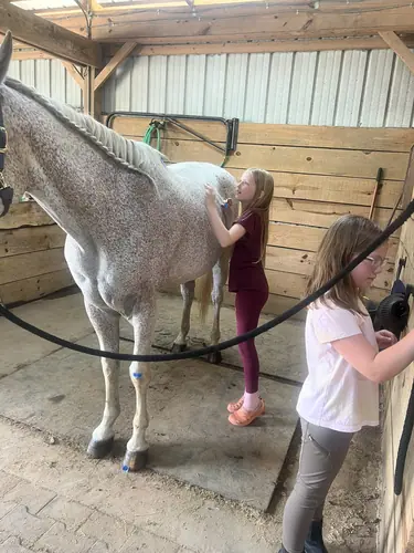 Beginner Camp at Horses and Hope, June 22 to 24, photo 147