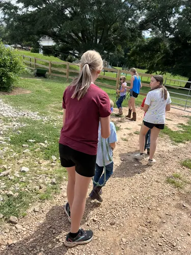 Beginner Camp at Horses and Hope, June 22 to 24, photo 150
