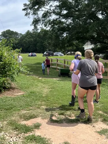 Beginner Camp at Horses and Hope, June 22 to 24, photo 154