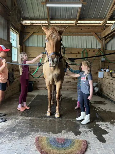 Beginner Camp at Horses and Hope, June 22 to 24, photo 166