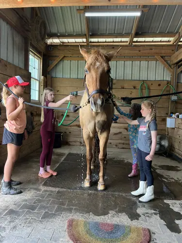 Beginner Camp at Horses and Hope, June 22 to 24, photo 167