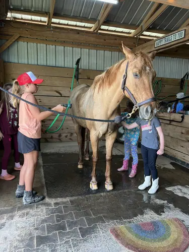 Beginner Camp at Horses and Hope, June 22 to 24, photo 168