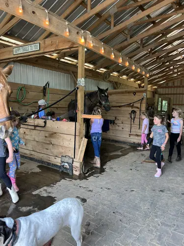 Beginner Camp at Horses and Hope, June 22 to 24, photo 169