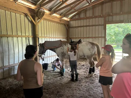 Beginner Camp at Horses and Hope, June 22 to 24, photo 170