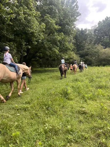 Beginner Camp at Horses and Hope, June 22 to 24, photo 171