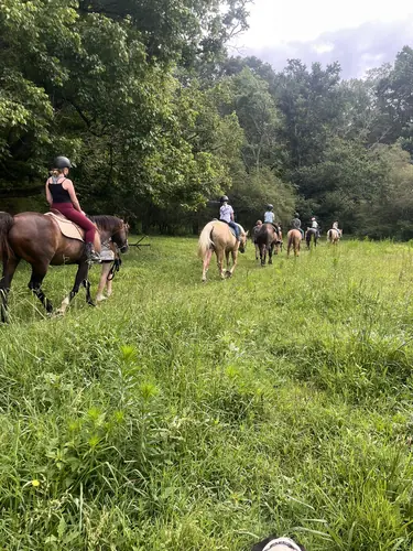 Beginner Camp at Horses and Hope, June 22 to 24, photo 172