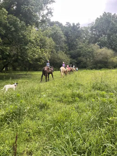 Beginner Camp at Horses and Hope, June 22 to 24, photo 173