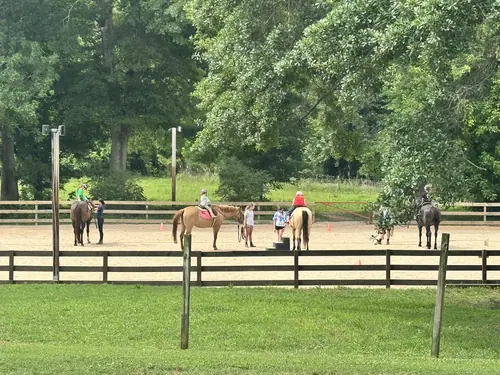 Beginner Camp at Horses and Hope, June 8 to 10, photo 3