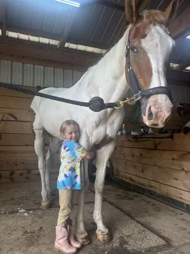 Beginner Camp at Horses and Hope, June 8 to 10, photo 7