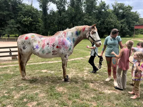 Beginner Camp at Horses and Hope, June 8 to 10, photo 9