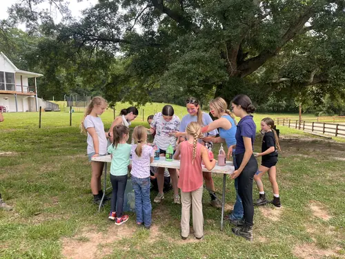 Beginner Camp at Horses and Hope, June 8 to 10, photo 10