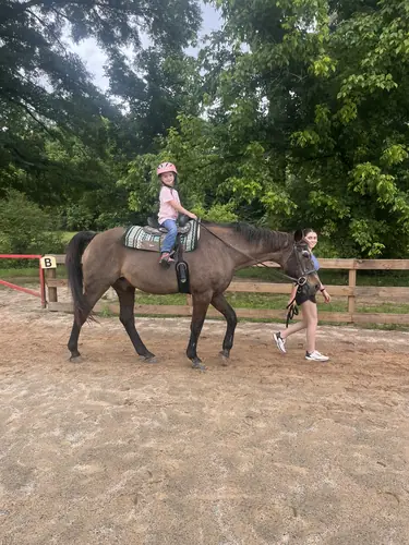 Beginner Camp at Horses and Hope, June 8 to 10, photo 11