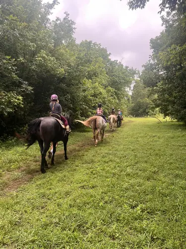 Beginner Camp at Horses and Hope, June 8 to 10, photo 12