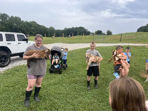 Beginner Camp at Horses and Hope, June 8 to 10, photo 14