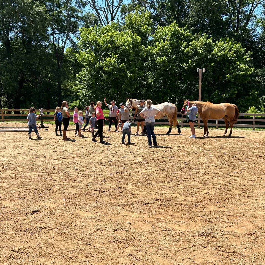 Horses and Hope riders and barn in Talmo, Georgia