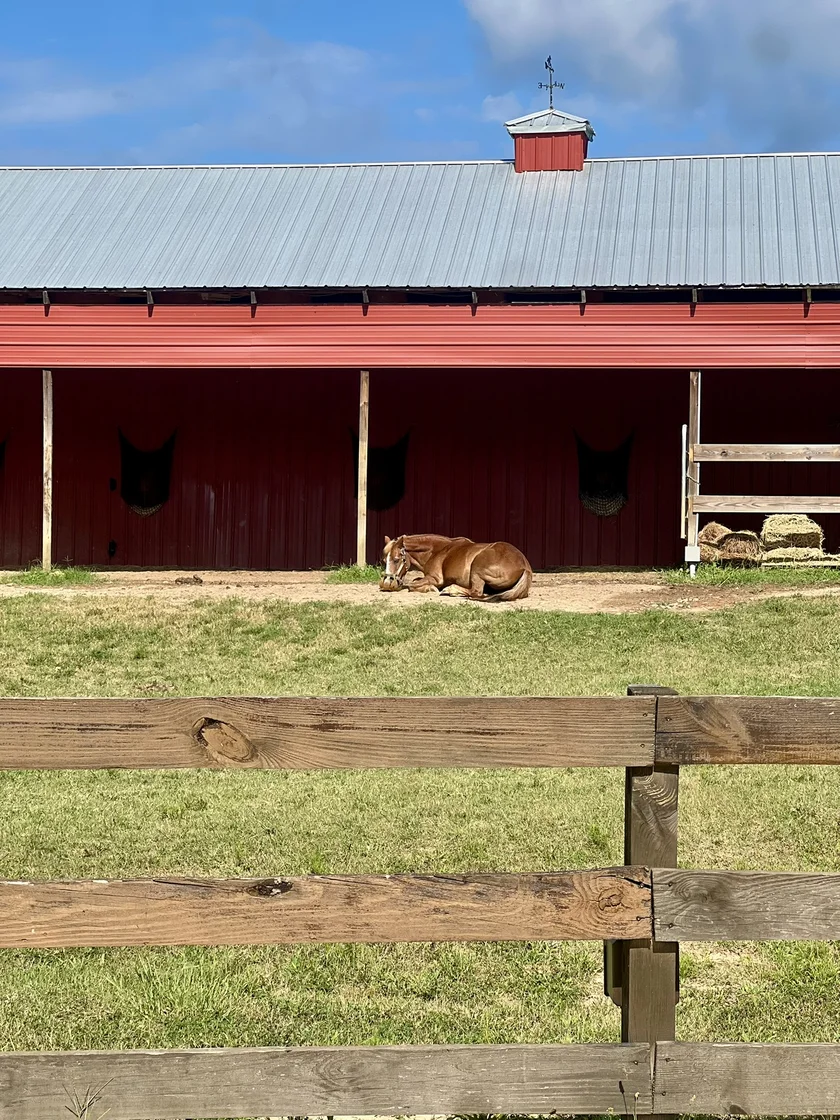 Horses and Hope riders and barn in Talmo, Georgia