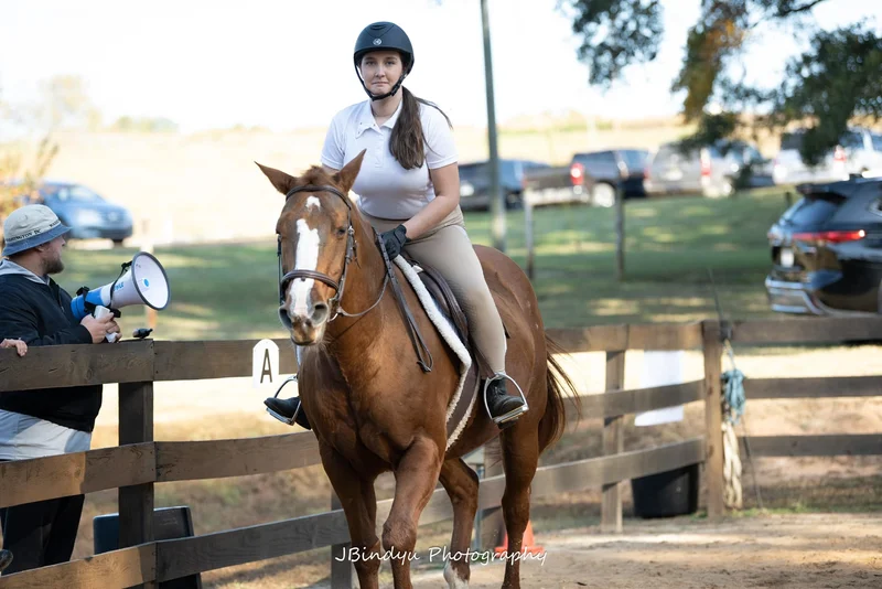 Dixie — legacy horse at Horses and Hope