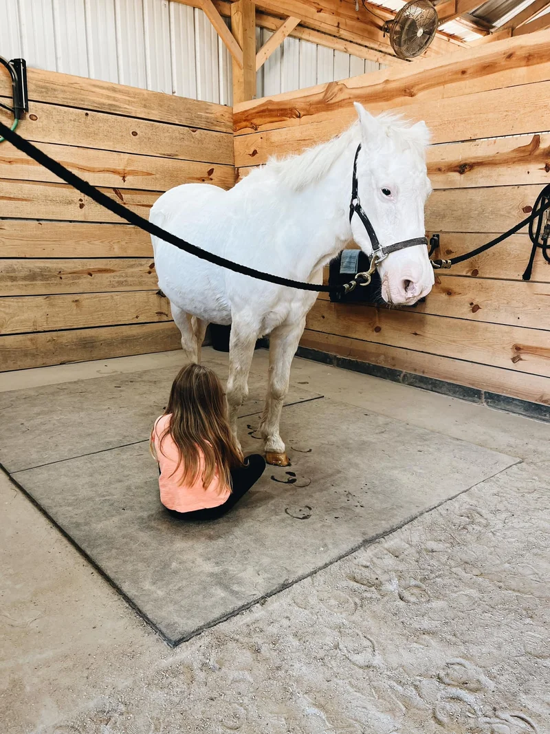 Holly — legacy horse at Horses and Hope