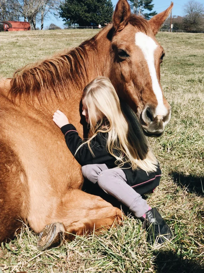 Mo — legacy horse at Horses and Hope